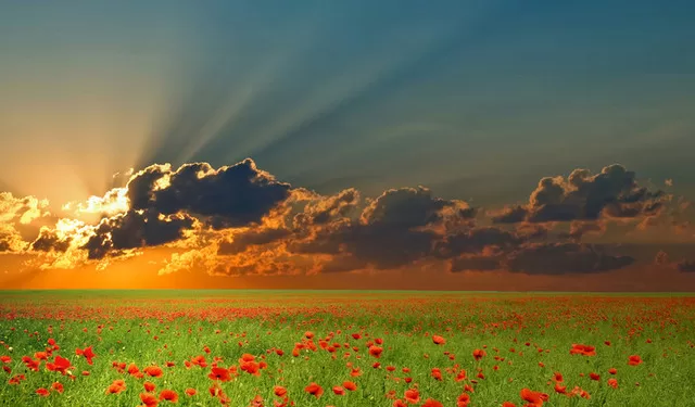 Être positif ça s’apprend ! 1 - Le Progrès Egyptien