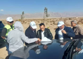 Projets de la Société égyptienne de développement rural:  Succès de l’Etat dans le développement du désert 