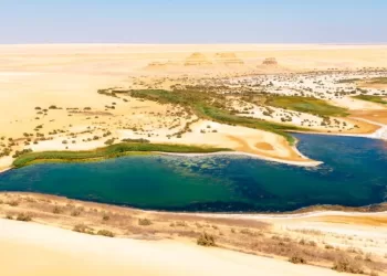 Un financement de 400 M LE pour soutenir les PME à Fayoum 