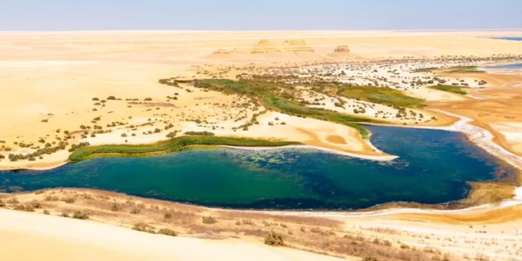 Un financement de 400 M LE pour soutenir les PME à Fayoum 2 - Le Progrès Egyptien Un financement de 400 M LE pour soutenir les PME à Fayoum 1 - Le Progrès Egyptien