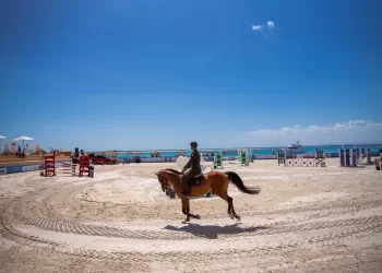 Tourisme : L’Egypte mise sur le sport pour renforcer son attractivité internationale 3 - Le Progrès Egyptien Tourisme : L’Egypte mise sur le sport pour renforcer son attractivité internationale