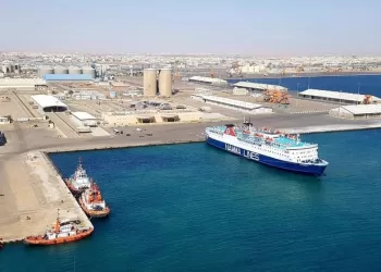 Nil Vert : Le Caire réinventé