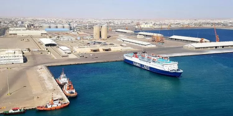 Nil Vert : Le Caire réinventé 1 - Le Progrès Egyptien