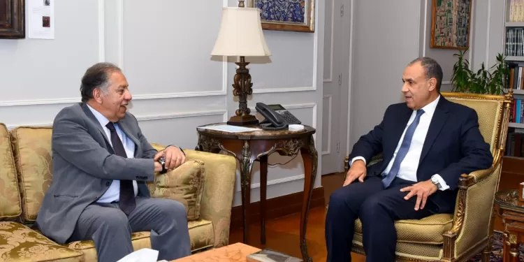 L’Égypte renforce sa stratégie africaine 1 - Le Progrès Egyptien