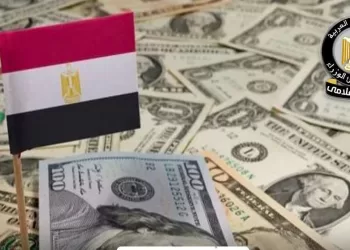 Fitch: Le réserve égyptien en devises étrangers, à niveau record