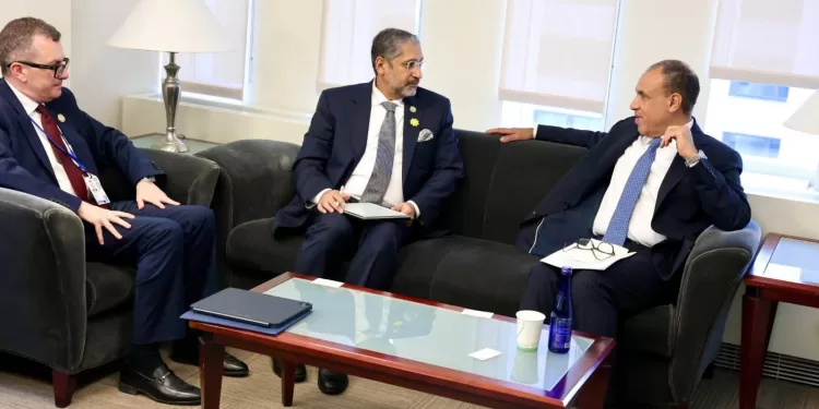 Renforcement du partenariat égypto-africain : Le Caire mise sur la BADEA pour dynamiser le développement continental 1 - Le Progrès Egyptien