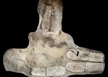 Découverte archéologique majeure à Minya : les mystères d’El-Bahnasa à l’époque gréco-romaine refont surface