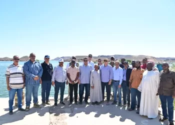 Toshka : Le méga-projet de développement du Sud de la Vallée accéléré