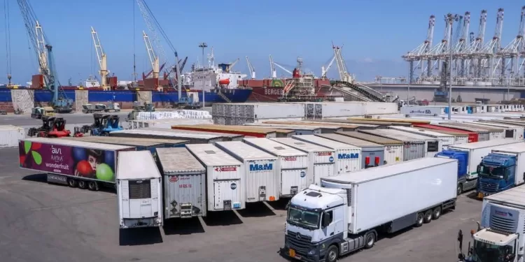 Transport maritime : Montée en puissance de la ligne Ro-Ro entre l’Egypte et l’Italie 2 - Le Progrès Egyptien Transport maritime : Montée en puissance de la ligne Ro-Ro entre l’Egypte et l’Italie 1 - Le Progrès Egyptien