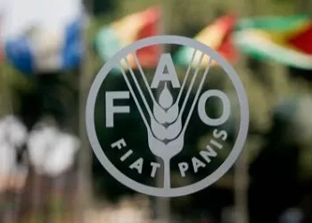 La FAO alerte sur un risque de crise alimentaire mondiale lié au détroit d’Ormuz