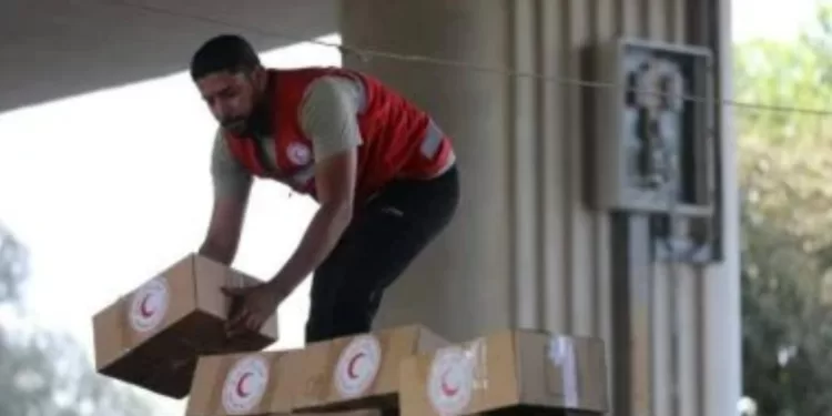 Gaza : Le Croissant-Rouge égyptien déploie une aide massive pour l'hiver 2 - Le Progrès Egyptien Gaza : Le Croissant-Rouge égyptien déploie une aide massive pour l'hiver 1 - Le Progrès Egyptien