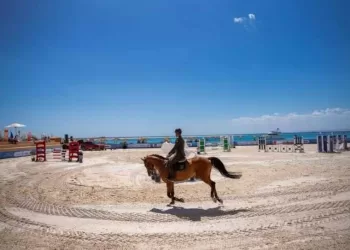 Promotion du tourisme sportif : l’Égypte parraine les Coupes du monde de natation et d’équitation à Soma Bay
