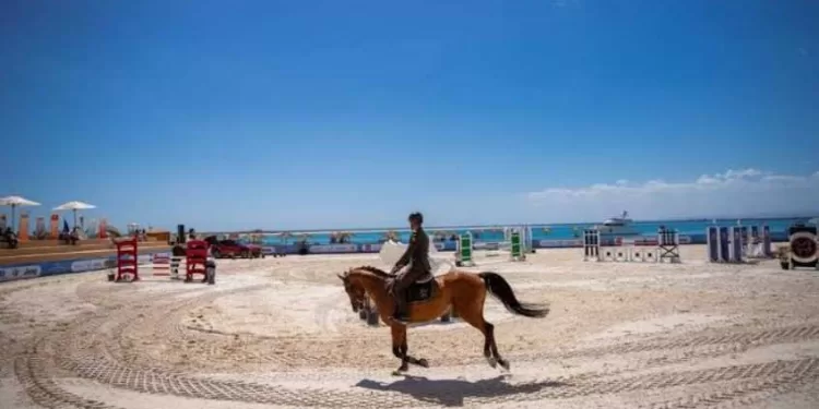 Promotion du tourisme sportif : l'Égypte parraine les Coupes du monde de natation et d'équitation à Soma Bay 1 - Le Progrès Egyptien