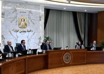 Sécurité numérique : L’Égypte renforce la protection des mineurs face aux dangers du web