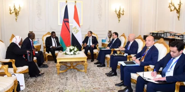 Le chef de la diplomatie s'entretient avec son homologue malawien 1 - Le Progrès Egyptien