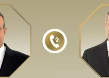 Abdel-Aati examine avec son homologue turc la situation régionale