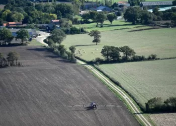UE-Hausse des prix des engrais: Réunion à haut niveau le 13 avril pour évaluer la situation 3 - Le Progrès Egyptien UE-Hausse des prix des engrais: Réunion à haut niveau le 13 avril pour évaluer la situation