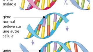 L’Egypte sur la carte mondiale du génome humain