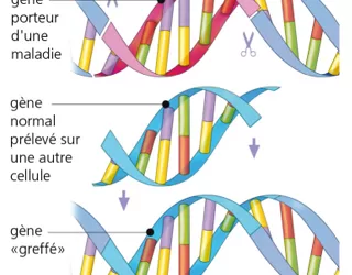 L’Egypte sur la carte mondiale du génome humain