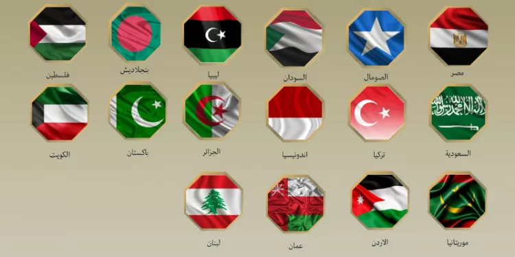 Condamnation unanime de la violation par Israël de la souveraineté somalienne 1 - Le Progrès Egyptien