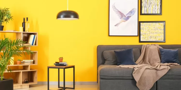 Intérieur: Le jaune paille pour plus de luminosité 2 - Le Progrès Egyptien Intérieur: Le jaune paille pour plus de luminosité 1 - Le Progrès Egyptien