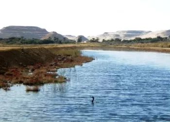 Siwa, nouvelle vitrine du développement en Egypte 4 - Le Progrès Egyptien Siwa, nouvelle vitrine du développement en Egypte