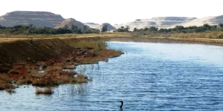 Siwa, nouvelle vitrine du développement en Egypte 2 - Le Progrès Egyptien Siwa, nouvelle vitrine du développement en Egypte 1 - Le Progrès Egyptien
