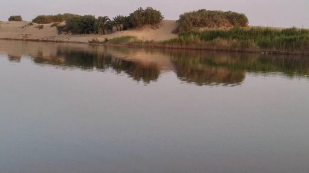 Siwa, nouvelle vitrine du développement en Egypte 4 - Le Progrès Egyptien Siwa, nouvelle vitrine du développement en Egypte 3 - Le Progrès Egyptien