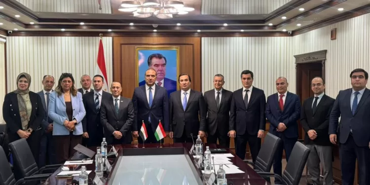 Premier accord de services de transport aérien entre l'Égypte et le Tadjikistan 1 - Le Progrès Egyptien