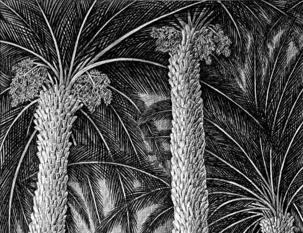 Ossama Nached compose, orchestre et chante en solo à la galerie Dai 7 - Le Progrès Egyptien