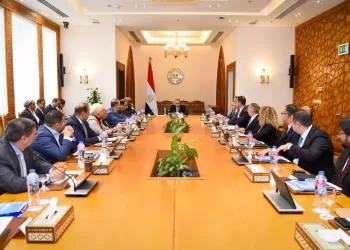Le Caire renforce son offensive économique en Afrique