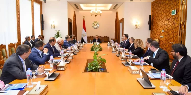 Le Caire renforce son offensive économique en Afrique 1 - Le Progrès Egyptien