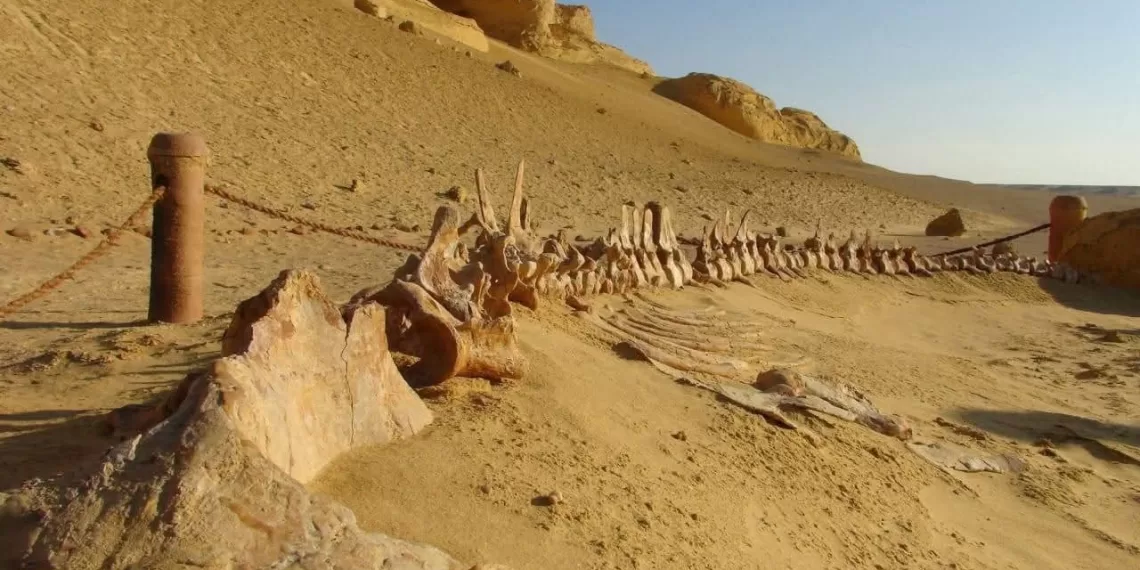 Le Progrès Egyptien 46 - Le Progrès Egyptien
