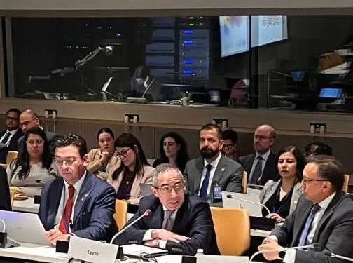L'Égypte : Modèle de Gouvernance Migratoire à l'ONU 1 - Le Progrès Egyptien