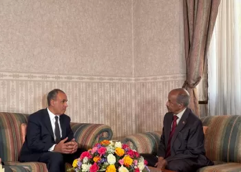 Liens resserrés et coordination renforcée avec l'Érythrée 5 - Le Progrès Egyptien Liens resserrés et coordination renforcée avec l’Érythrée