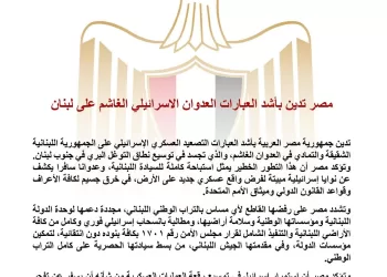 L’Égypte condamne fermement l’escalade militaire israélienne au Liban 5 - Le Progrès Egyptien L’Égypte condamne fermement l’escalade militaire israélienne au Liban