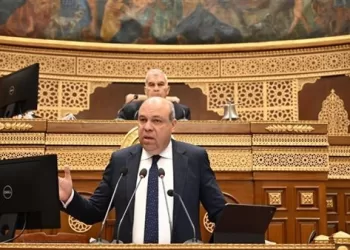 Al-Hefni devant le Sénat: EgyptAir enregistre des résultats financiers historiques en 2024-2025