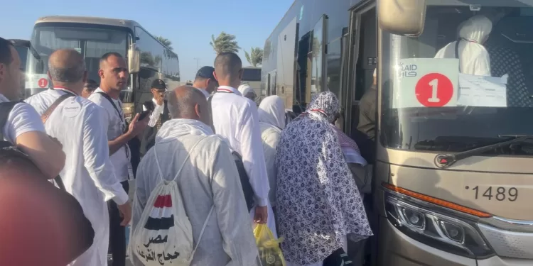 À la veille de Arafat : 522 bus mobilisés pour le transfert des pèlerins égyptiens vers les lieux saints 2 - Le Progrès Egyptien À la veille de Arafat : 522 bus mobilisés pour le transfert des pèlerins égyptiens vers les lieux saints 1 - Le Progrès Egyptien