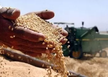 Stratégie nationale pour la sécurité alimentaire  