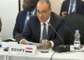 L’Égypte appelle à une représentation africaine permanente au Conseil de sécurité 