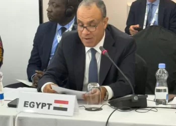 L’Égypte appelle à une représentation africaine permanente au Conseil de sécurité 