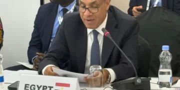 L’Égypte appelle à une représentation africaine permanente au Conseil de sécurité 