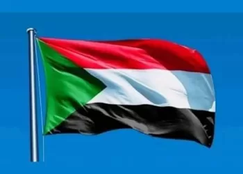 L’armée soudanaise reprend deux zones au Nil Bleu