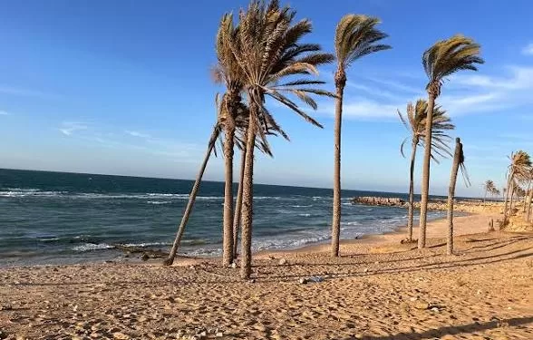 Des cliniques mobiles arrivent à Al-Arich avec un soutien européen 1 - Le Progrès Egyptien