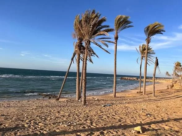 Le Progrès Egyptien 47 - Le Progrès Egyptien