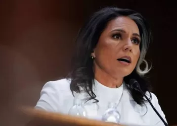 Démission de Tulsi Gabbard à la tête du renseignement américain