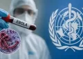 L’OMS alerte sur Ebola en RDC