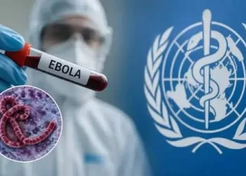 L’OMS alerte sur Ebola en RDC