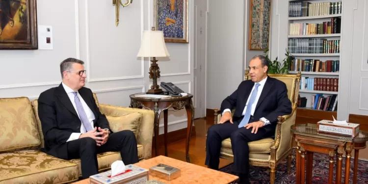 Le ministre des AE reçoit le président de la commission des droits de l’Homme au Parlement 1 - Le Progrès Egyptien