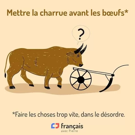 Pour améliorer votre français… 4 - Le Progrès Egyptien
